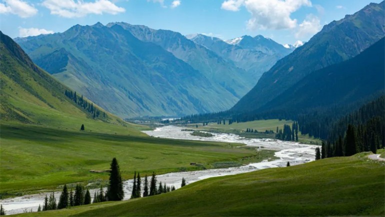 公司治理獲高度認(rèn)可！奇正藏藥入選中上協(xié)“最佳實踐案例”